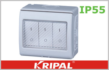 Commutateur bipolaire gris de jet de DPST double pour l'éclairage de jardin